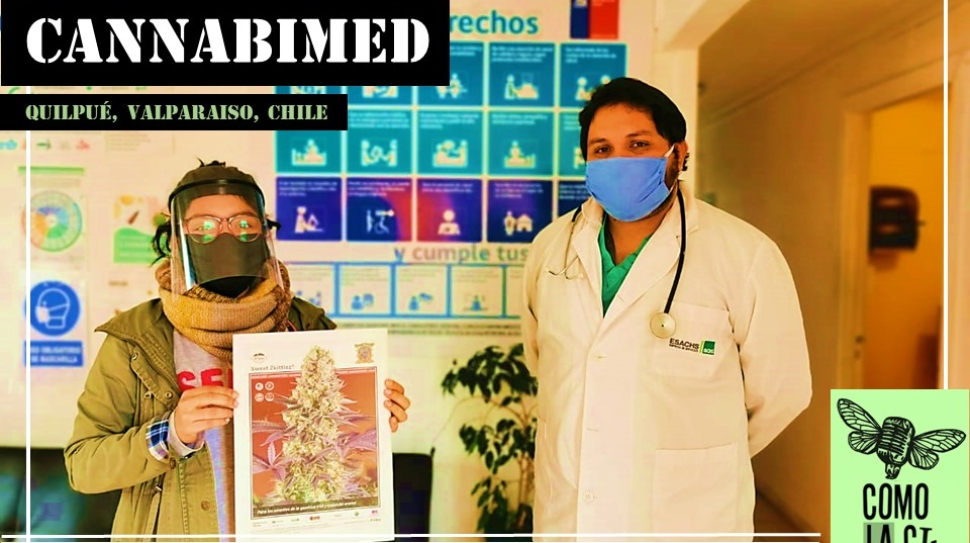 CHAPOLA 12_CannabiMed-Chile