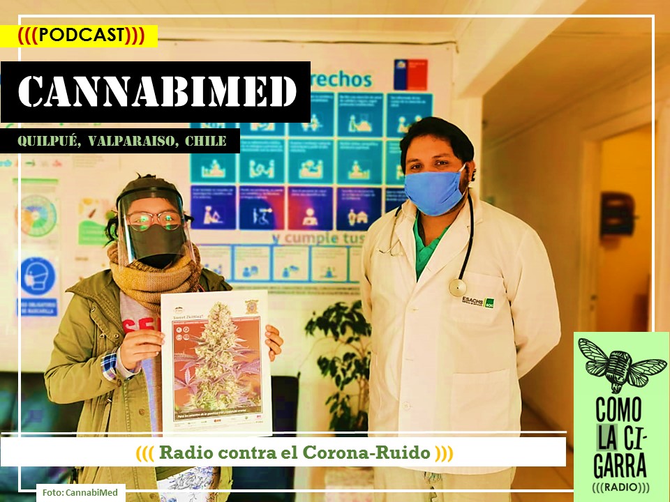 CHAPOLA 12_CannabiMed-Chile