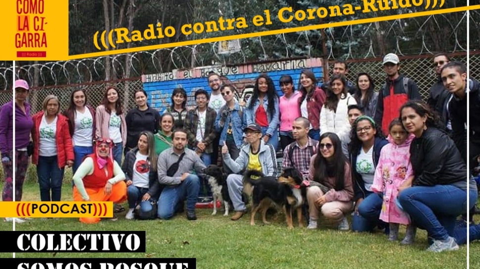 CHAPOLA 1_Somos Bosque