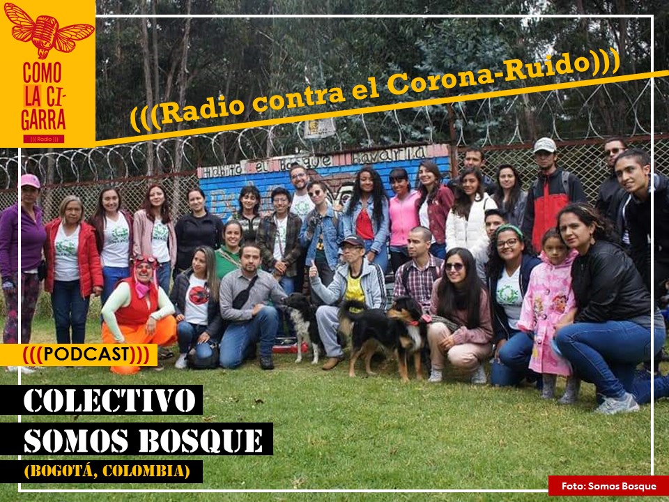 CHAPOLA 1_Somos Bosque