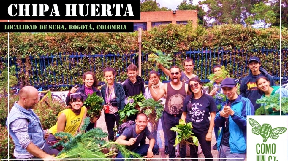 CHAPOLA 5_ChipaHuerta