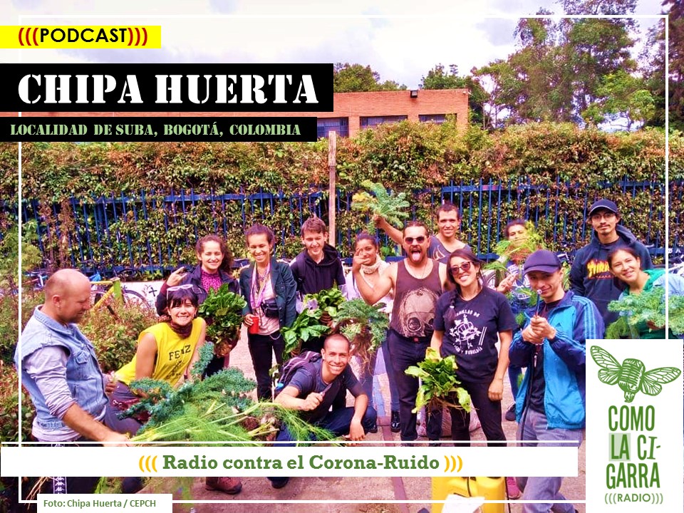 CHAPOLA 5_ChipaHuerta