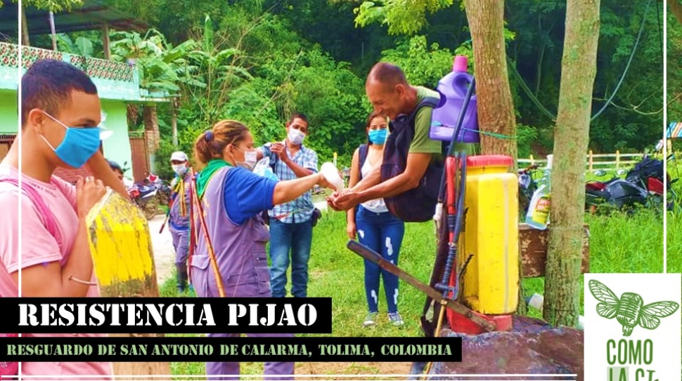 CHAPOLA 6_Resistencia Pijao