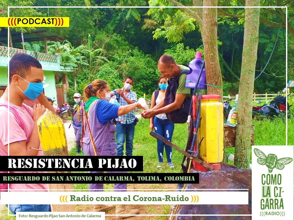 CHAPOLA 6_Resistencia Pijao