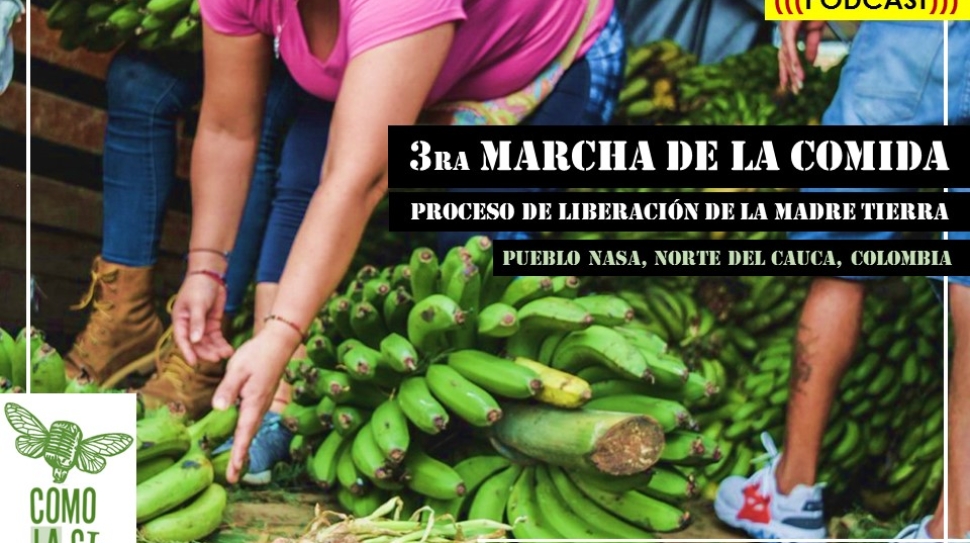 CHAPOLA 8_Marcha de la comida