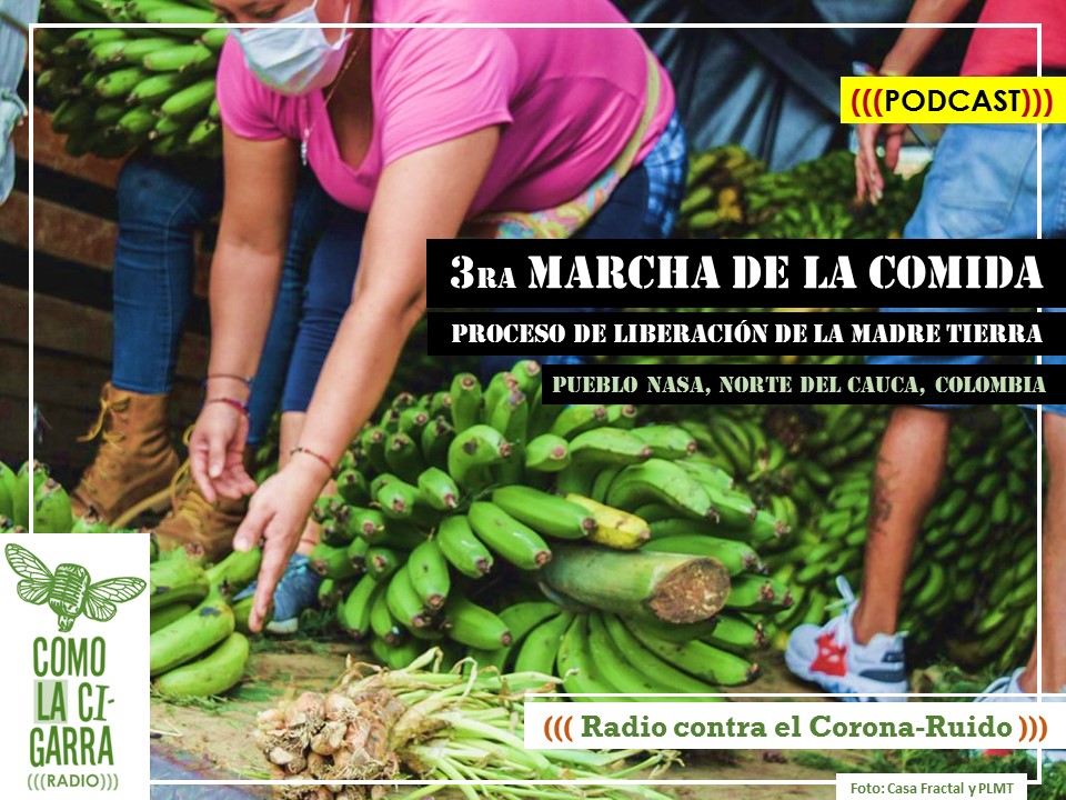 CHAPOLA 8_Marcha de la comida