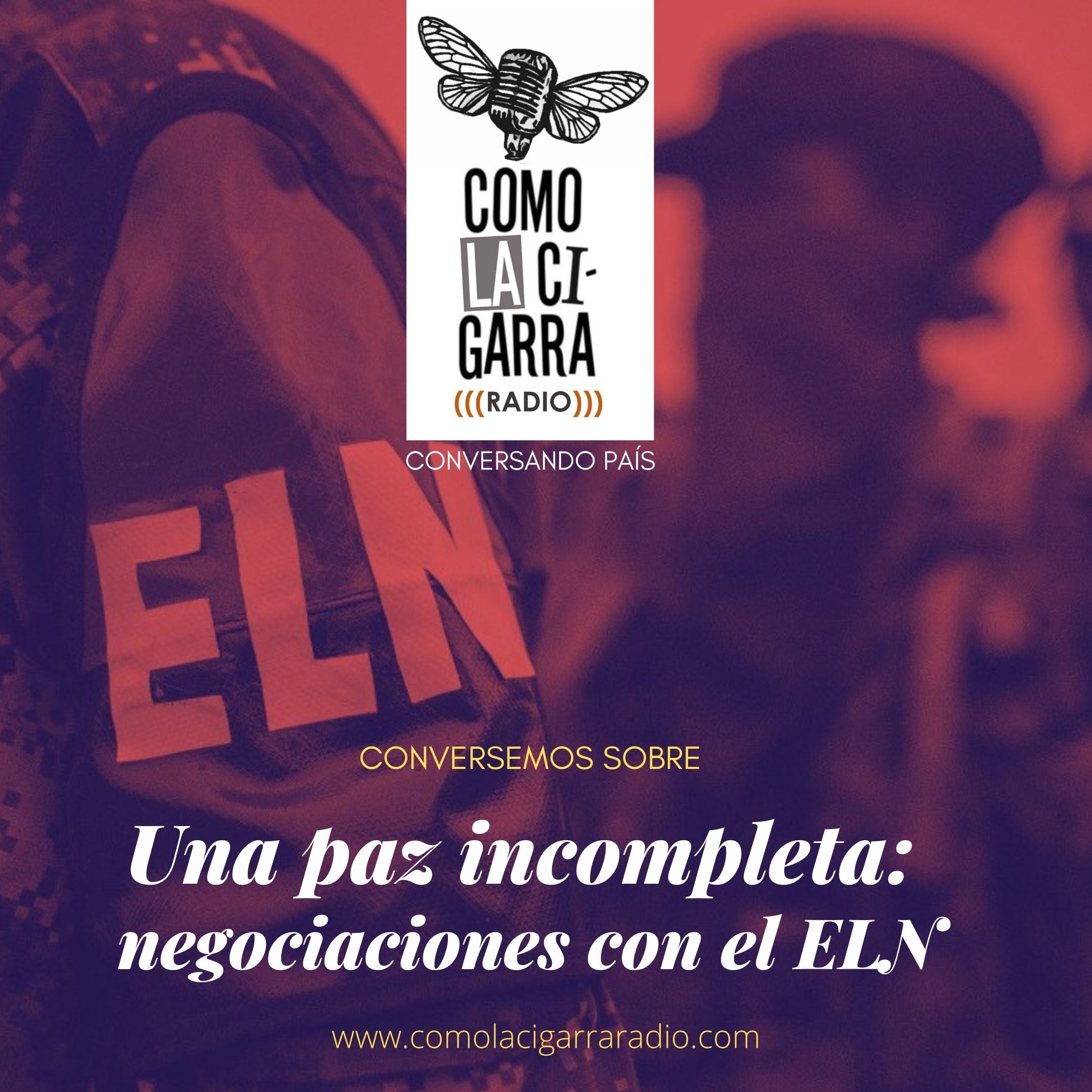 P3_Una paz incompleta negociaciones con ELN