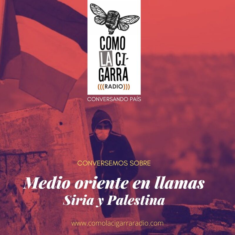 P7_Medio oriente en llamas Siria y Palestina