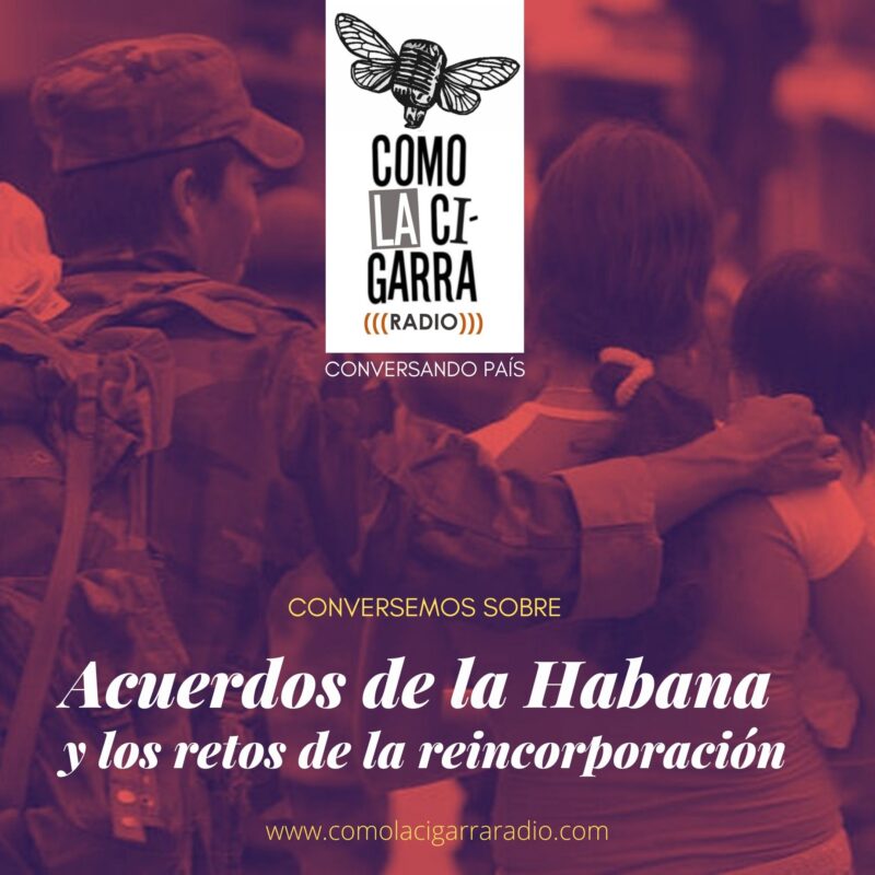 P8_Paz y retos de la reincorporación