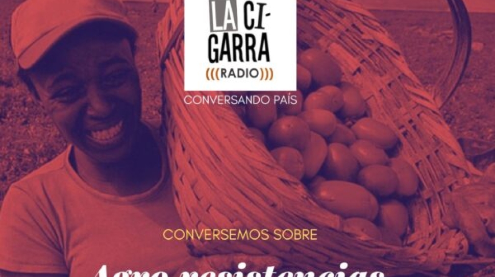 P10_Agro resistencias