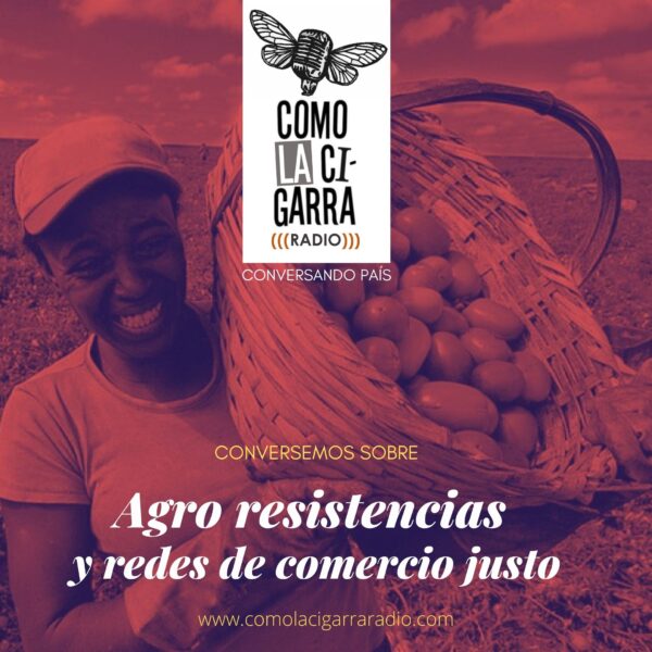 P10_Agro resistencias