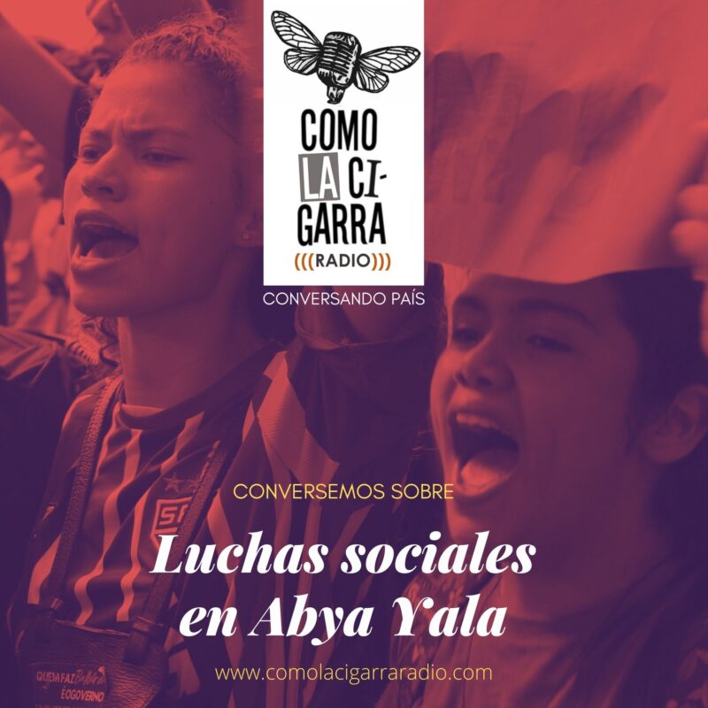 P11_Luchas sociales en Anya Yala