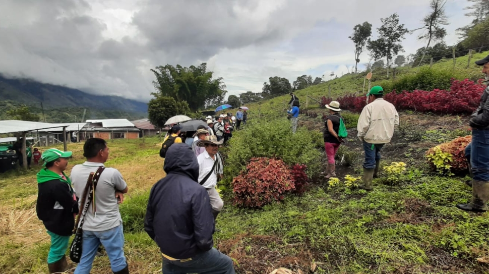 desarraigo-y-reexistencias