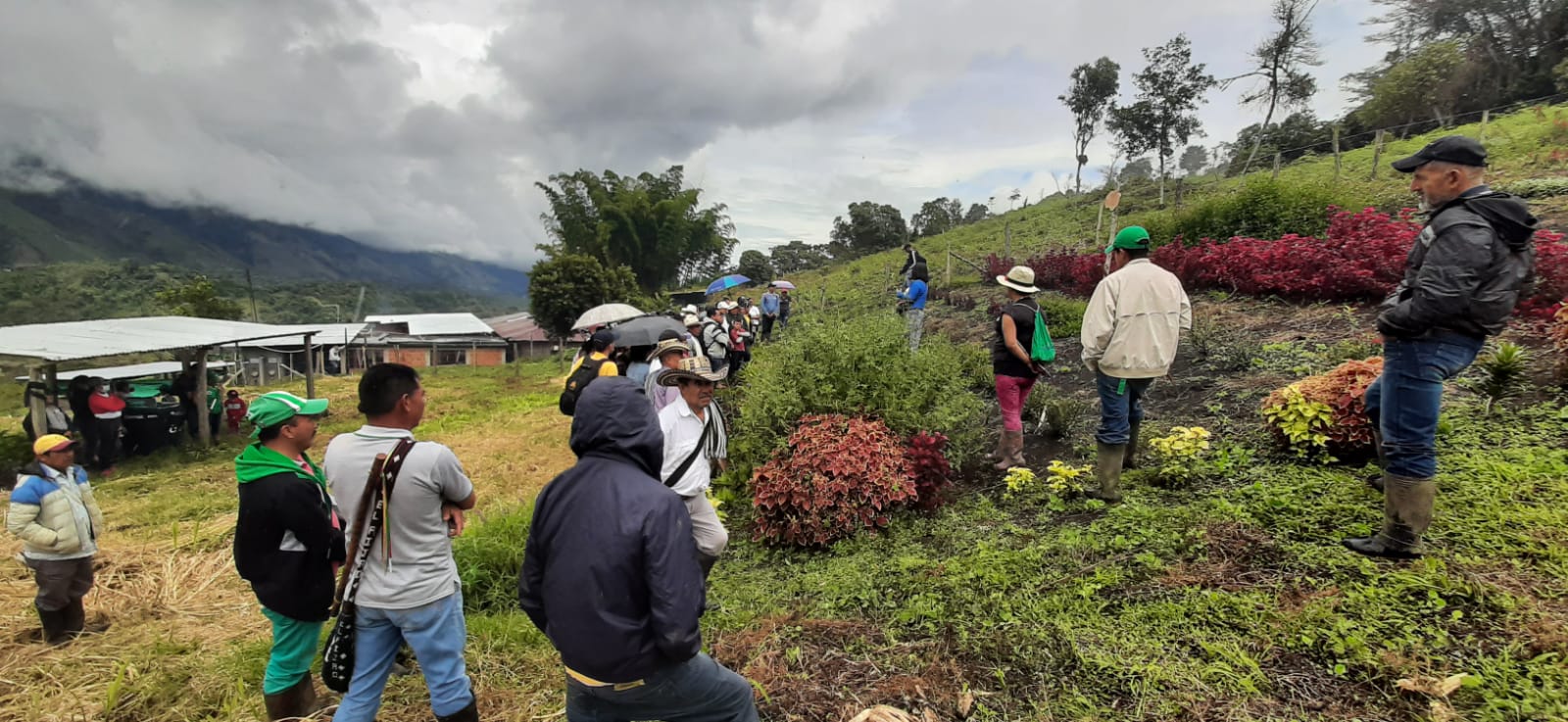 desarraigo-y-reexistencias