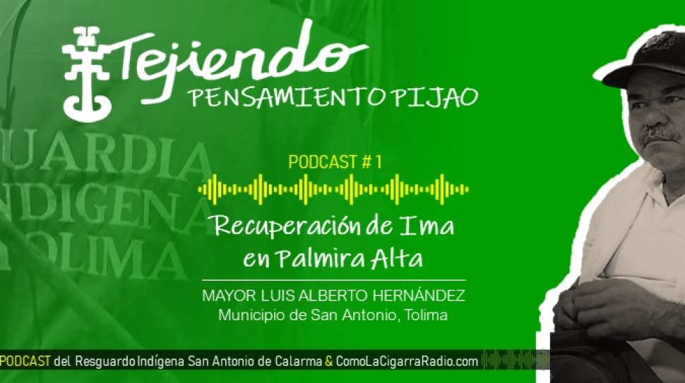 Chapolas TPP RISC_Web1