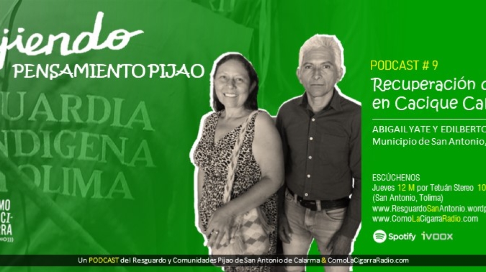 Chapolas-TPP-RISC_Web9