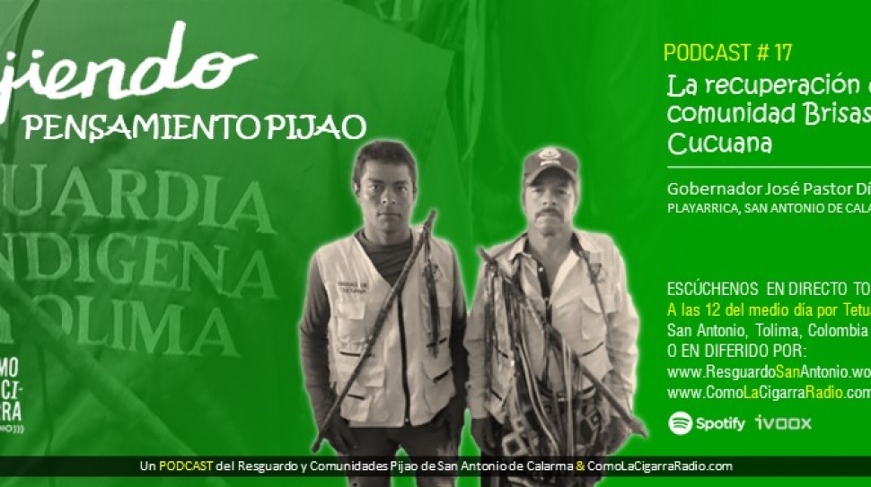 Chapolas-TPP-RISC_Web17