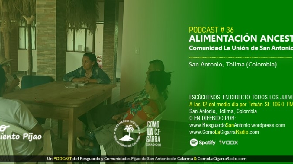 Chapolas TPP RISC_Web36