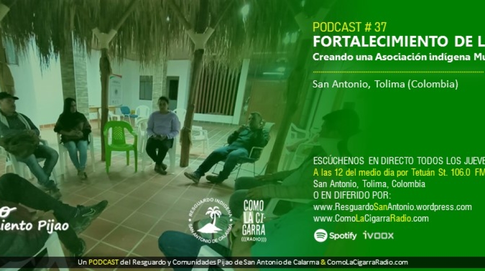 Chapolas TPP RISC_Web37