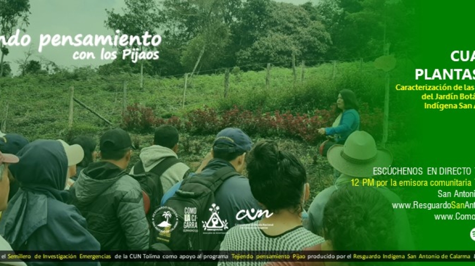 Chapolas TPP RISC_Web3