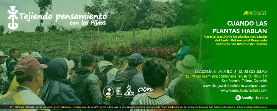 Chapolas TPP RISC_Web3