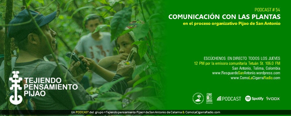 Chapolas TPP RISC_Web54