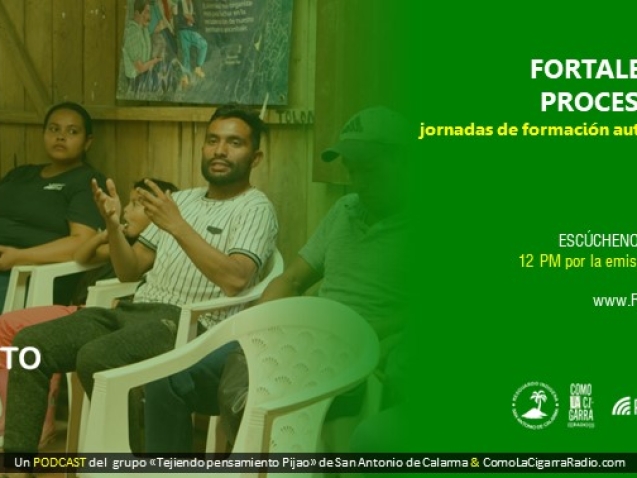 Chapolas TPP RISC_Web57