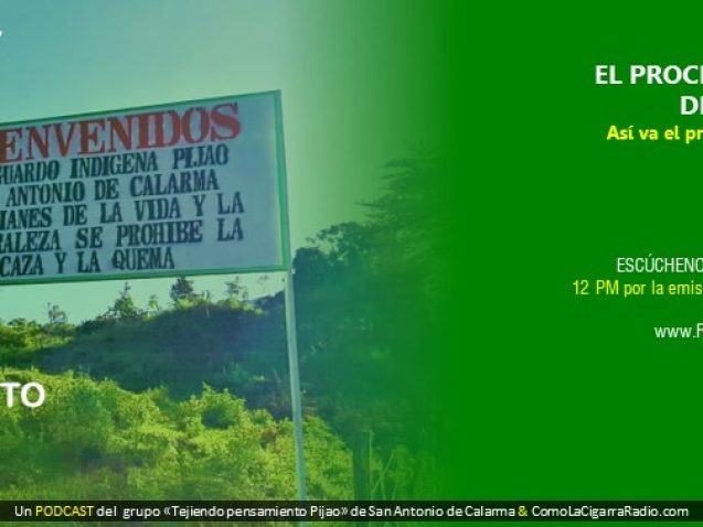 Chapolas TPP RISC_Web60