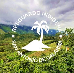 WhatsApp Image 2025-04-01 at 6.07.06 PM